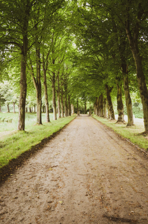 Hochzeitsfotograf Aurich Ostfriesland Hochzeitsfotograf Aurich Ostfriesland