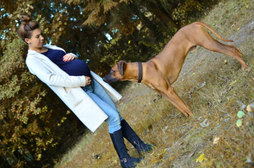 Schwangerschaftsfotoshooting Fotograf Hamburg Schwangerschaftsfotoshooting Fotograf Hamburg