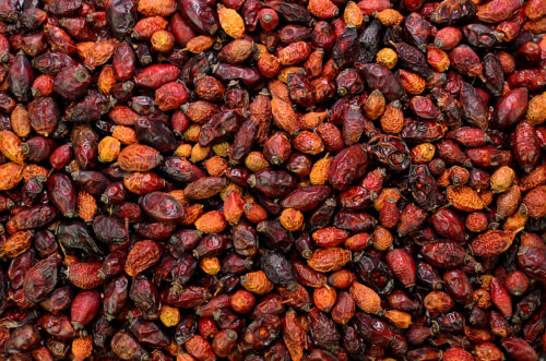 getrocknete_Hagebutten_fuer_Pferde getrocknete_Hagebutten_fuer_Pferde